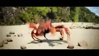 Crab Rave meme template