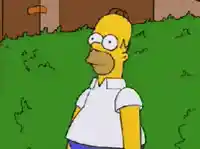 Homer disappears into bush meme template
