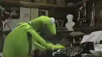 Kermit frantically typing meme template