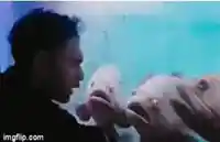 Man Talking to Fish meme template