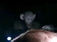 Oh no ape meme template