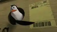 Penguin pointing at shipping label meme template