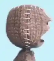 Sackboy meme template