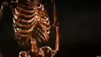 Skeleton Smoking a fat one (gif version) meme template