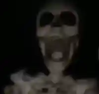 Skeleton on the fan meme template