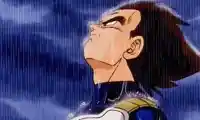 Vegeta raining meme template