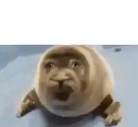 crying seal meme template