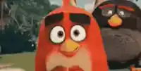 red angry birds alone meme template