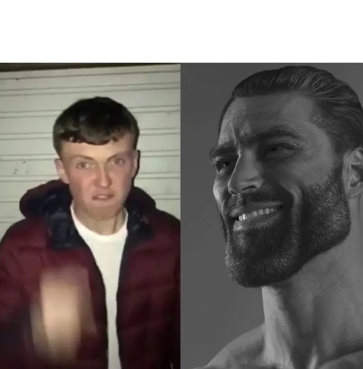 Average Fan Vs Average Enjoyer meme template
