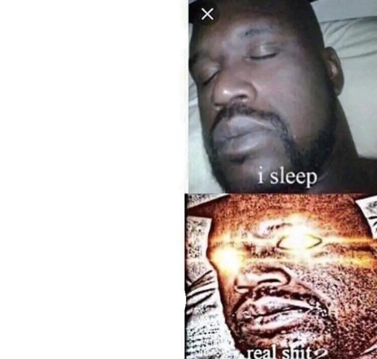 I Sleep Real Shit meme template
