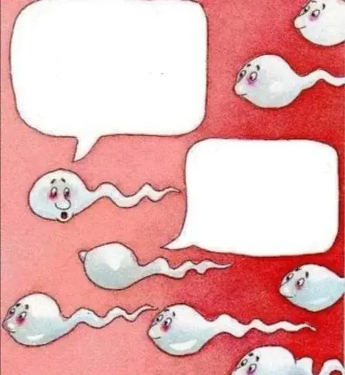 sperm heading towards meme template