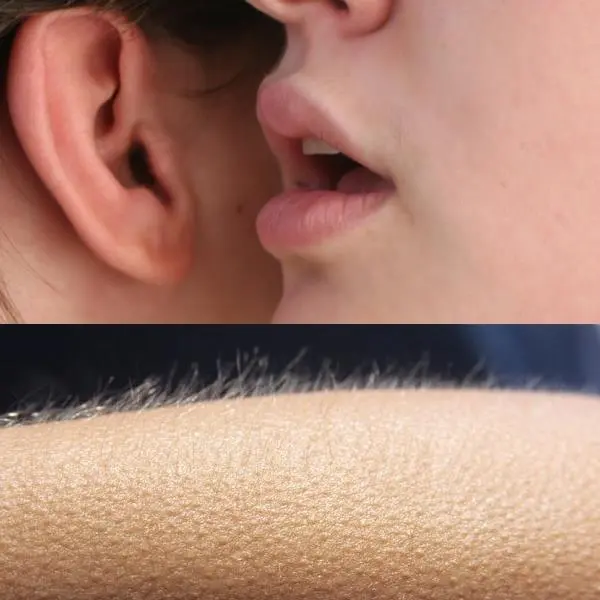 Whisper And Goosebumps meme template
