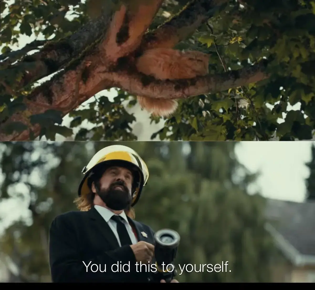 you did this to yourself meme template